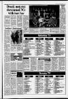 Dorking and Leatherhead Advertiser Thursday 28 December 1989 Page 13