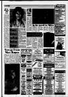 Dorking and Leatherhead Advertiser Thursday 25 January 1990 Page 19