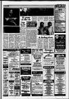 Dorking and Leatherhead Advertiser Thursday 01 February 1990 Page 15