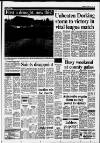 Dorking and Leatherhead Advertiser Thursday 01 February 1990 Page 17