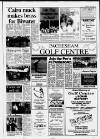 Dorking and Leatherhead Advertiser Thursday 25 June 1992 Page 13