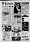 Dorking and Leatherhead Advertiser Thursday 14 January 1993 Page 9