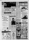 Dorking and Leatherhead Advertiser Thursday 21 January 1993 Page 3