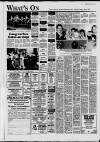 Dorking and Leatherhead Advertiser Thursday 22 July 1993 Page 13