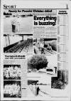 Dorking and Leatherhead Advertiser Thursday 12 August 1993 Page 15