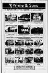 Dorking and Leatherhead Advertiser Thursday 01 June 1995 Page 39