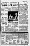 Dorking and Leatherhead Advertiser Thursday 06 July 1995 Page 11