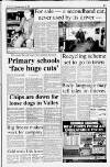 Dorking and Leatherhead Advertiser Thursday 16 January 1997 Page 11