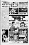 Dorking and Leatherhead Advertiser Thursday 24 April 1997 Page 15