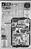 Kent & Sussex Courier Friday 20 June 1980 Page 17