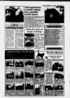 Uckfield Courier Friday 13 March 1992 Page 41