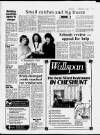 Hertford Mercury and Reformer Friday 06 February 1987 Page 17