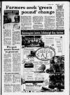 Hertford Mercury and Reformer Friday 05 January 1990 Page 11