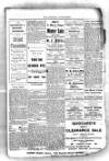Staffordshire Newsletter Saturday 31 January 1920 Page 5
