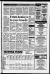 Staffordshire Newsletter Friday 03 February 1989 Page 67
