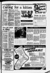 Macclesfield Express Thursday 29 November 1984 Page 71