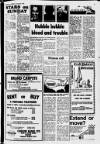 Bedfordshire on Sunday Sunday 29 January 1978 Page 3
