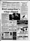 Bedfordshire on Sunday Sunday 08 July 1990 Page 3
