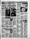 Cambridge Daily News Saturday 09 January 1988 Page 11