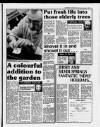 Cambridge Daily News Saturday 07 January 1989 Page 11