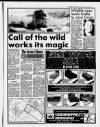 Cambridge Daily News Friday 05 January 1990 Page 17