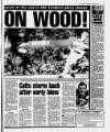 Daily Record Wednesday 04 August 1993 Page 41