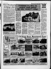 Brentwood Gazette Friday 19 February 1988 Page 31