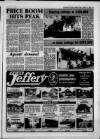 Brentwood Gazette Friday 14 October 1988 Page 33