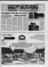 Brentwood Gazette Thursday 25 March 1993 Page 27