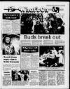 Caernarvon & Denbigh Herald Friday 23 October 1987 Page 35