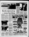 Caernarvon & Denbigh Herald Friday 13 November 1987 Page 29