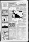 Folkestone, Hythe, Sandgate & Cheriton Herald Thursday 27 July 1989 Page 11