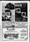 Folkestone, Hythe, Sandgate & Cheriton Herald Friday 05 February 1993 Page 33