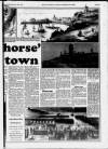 Folkestone, Hythe, Sandgate & Cheriton Herald Friday 19 February 1993 Page 35