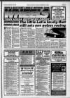 Folkestone, Hythe, Sandgate & Cheriton Herald Thursday 02 September 1993 Page 49