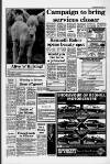 Horley & Gatwick Mirror Friday 22 May 1987 Page 3