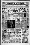 Horley & Gatwick Mirror Friday 05 June 1987 Page 1
