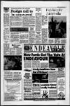 Horley & Gatwick Mirror Friday 05 June 1987 Page 3