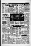 Horley & Gatwick Mirror Friday 19 June 1987 Page 19