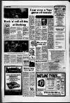 Horley & Gatwick Mirror Friday 26 June 1987 Page 11