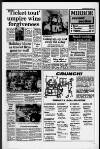 Horley & Gatwick Mirror Friday 10 July 1987 Page 21