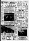 Horley & Gatwick Mirror Thursday 14 January 1988 Page 13