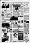 Horley & Gatwick Mirror Thursday 14 January 1988 Page 17