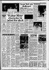 Horley & Gatwick Mirror Thursday 21 January 1988 Page 13