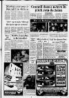 Horley & Gatwick Mirror Thursday 28 January 1988 Page 3