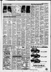 Horley & Gatwick Mirror Thursday 28 January 1988 Page 11