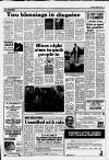 Horley & Gatwick Mirror Thursday 17 March 1988 Page 13