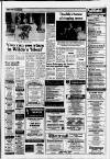 Horley & Gatwick Mirror Thursday 25 August 1988 Page 17