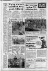 Horley & Gatwick Mirror Thursday 01 June 1989 Page 19