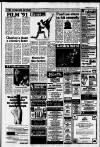 Horley & Gatwick Mirror Thursday 13 June 1991 Page 13